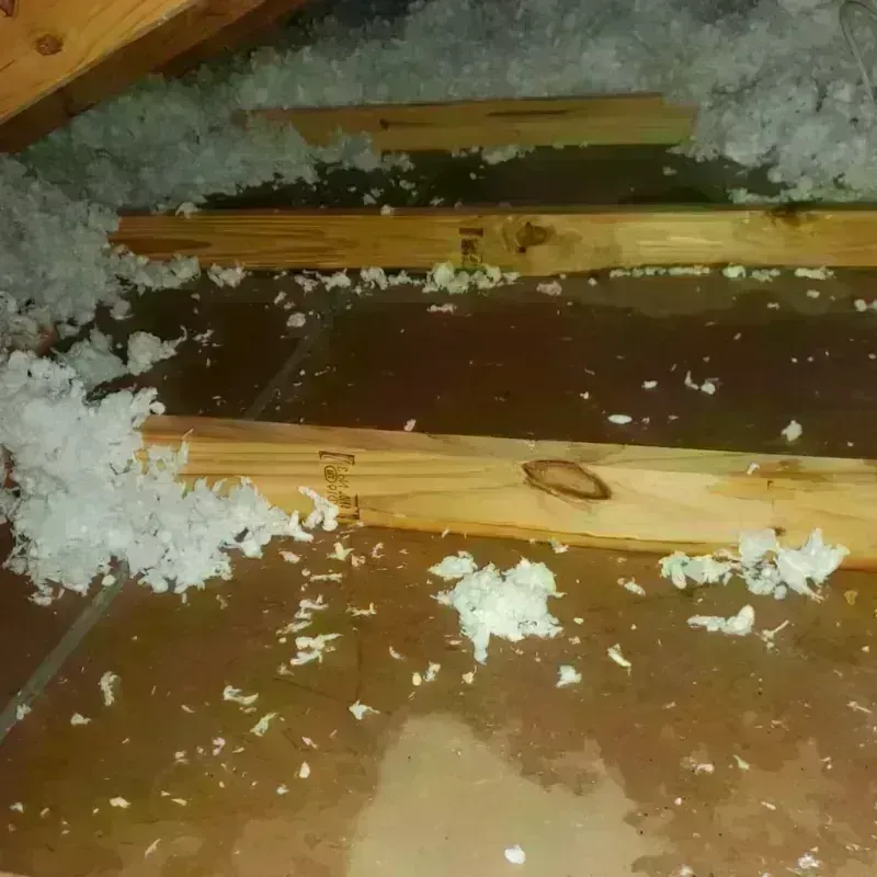 Attic Water Damage in Madison, WV