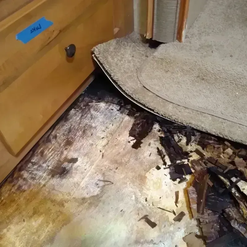 Wood Floor Water Damage in Madison, WV